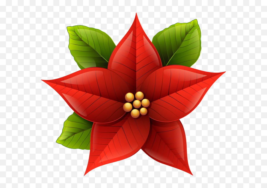 Christmas Poinsettia Png 2 Image - Christmas Poinsettia Transparent Background,Poinsettia Png