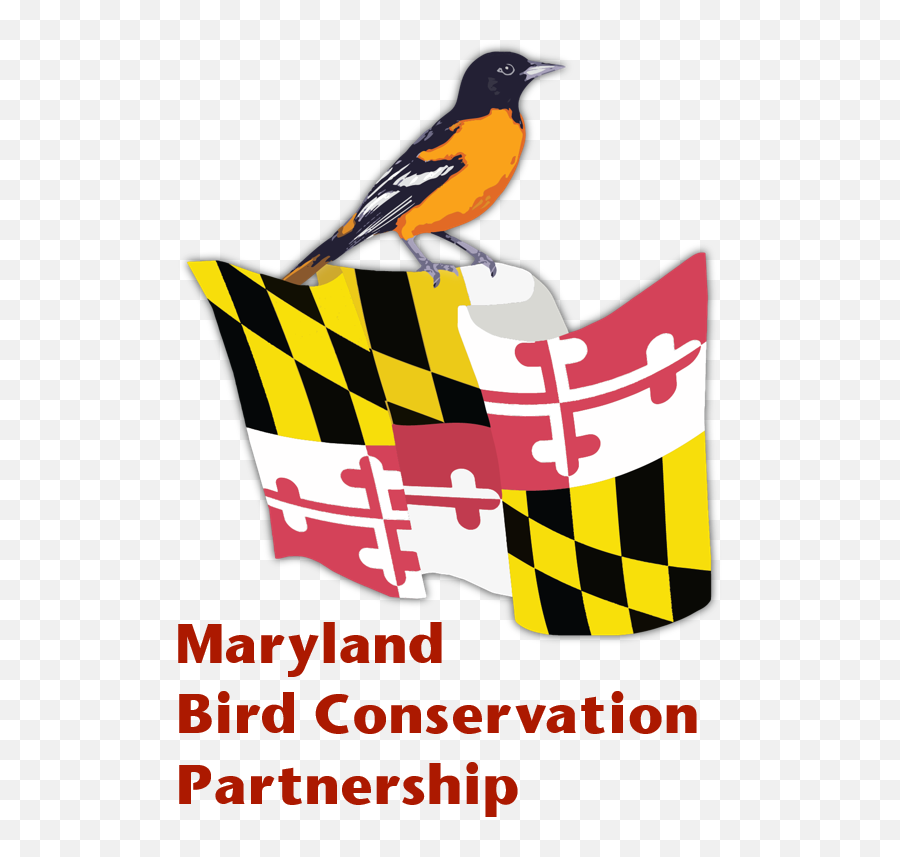 Logo U2014 Maryland Bird Conservation Partnership - Maryland State Flag Png,Bird Logo