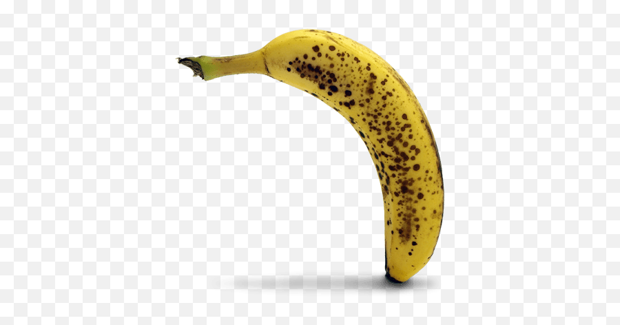 Bananas File Transparent U0026 Png Clipart Free Download - Ywd Transparent Rotten Banana,Banana Transparent