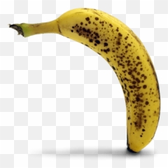 Bananas File Transparent U0026 Png Clipart Free Download - Ywd Transparent Rotten Banana,Banana Transparent