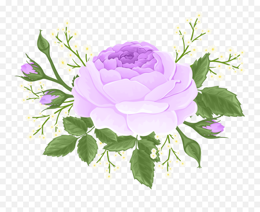 Purple Rose With White Flowers Png Clip