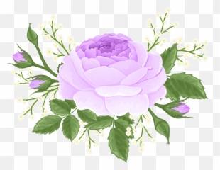 Purple Rose With White Flowers Png Clip