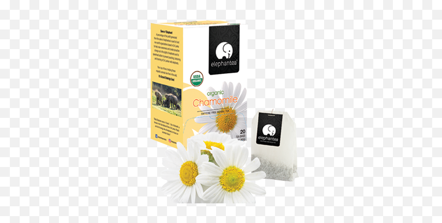 Organic Chamomile - Chamomile Png,Chamomile Png