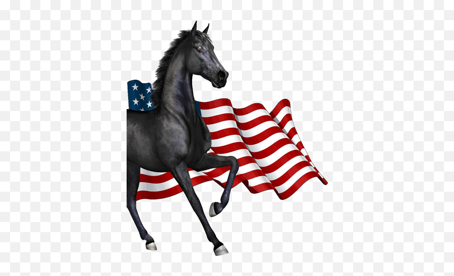 About Horses4heroes - Horses4heroes Transparent Wavy American Flag Png,Horse Transparent Background