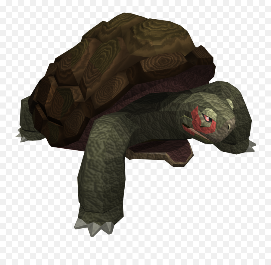 Image - Galápagos Tortoise Png,Tortoise Png