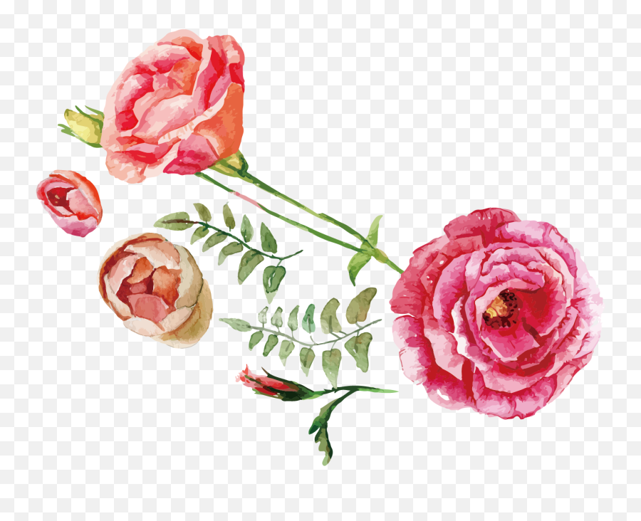 1381 X 1062 5 - Free Flower Watercolor Png,Watercolor Roses Png