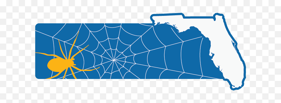 Spider - Man May Be From Queens But Many Spiders Love Fl Plot Png,Transparent Spiders