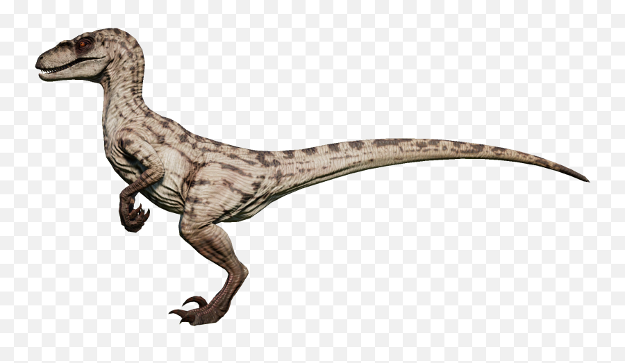 Velociraptor - Velociraptor Jurassic World Evolution Png,Raptor Png