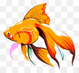 Download Golden Fishie Clip Art - Goldfish Clipart Hd Png Goldfish Drawing,Cartoon Fish Png