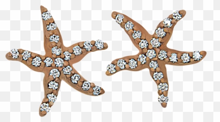 Starfish U2013 Tagged Braceletsu2013 Congress Jewelers Sanibel - Lovely Png,Starfish Png