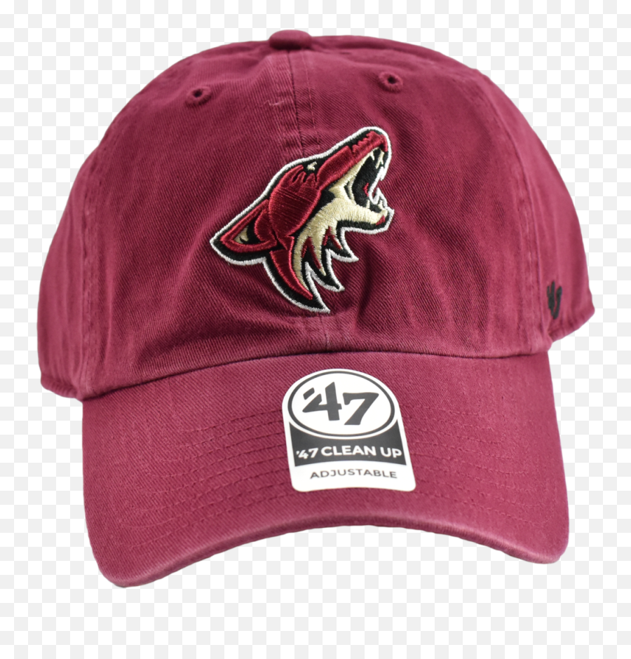 Arizona Coyotes 47 Nhl Dad Hat - For Baseball Png,Arizona Coyotes Logo Png