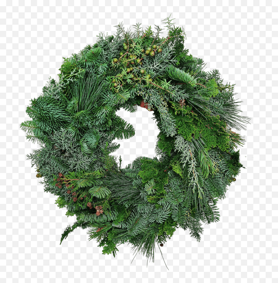 Christmas Wreath Hand - Bound Wreath Png,Advent Wreath Png
