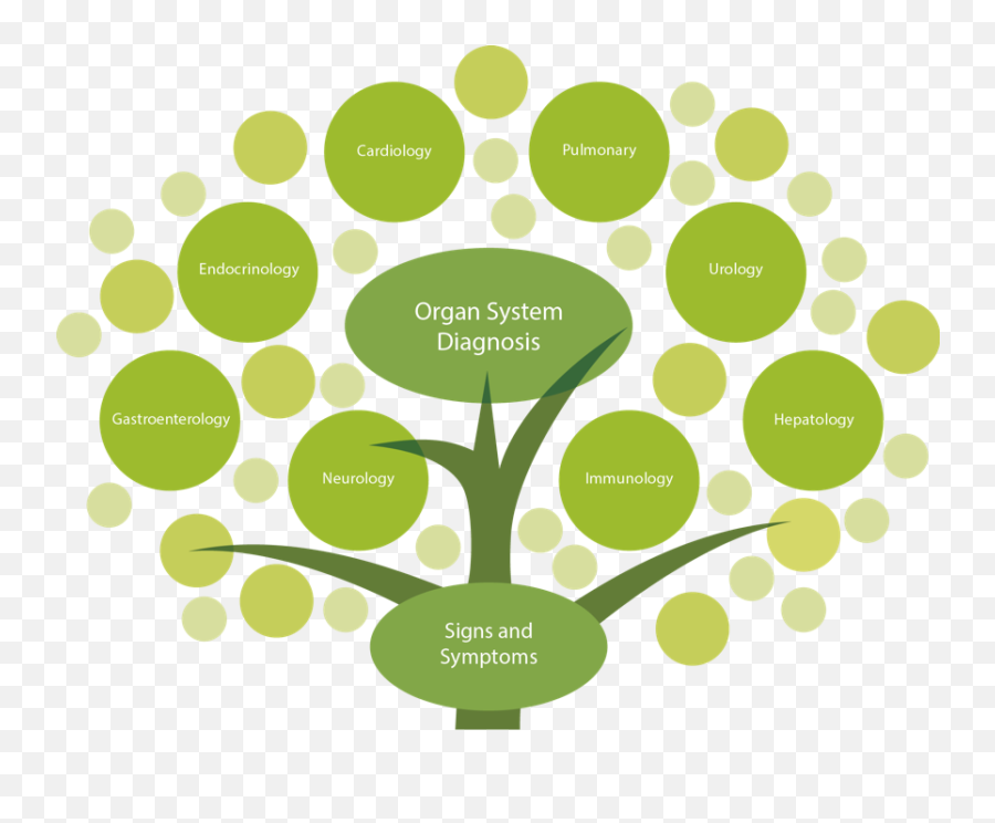 Tree Top - Functional Medicine Tree Full Size Png Download Functional Medicine Tree,Tree Png Top