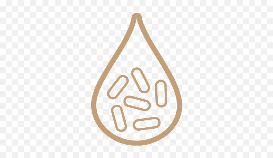 Probiotics U2014 Zümxr - Language Png,Gi Tract Icon