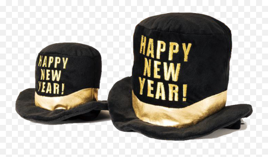 Happy New Year Hat For Dogs - Cowboy Hat Png,New Years Hat Transparent