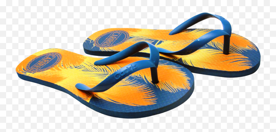 Flip Png Flops