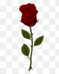 Library Of 3d Flower Vector Freeuse Stock Png Files - Red Rose Transparent Background,Red Rose Png