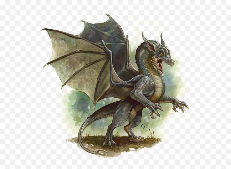 Gray Dragon Dungeons U0026 Dragons Fandom - Dnd Baby Black Dragon Art Png,Drogon Png