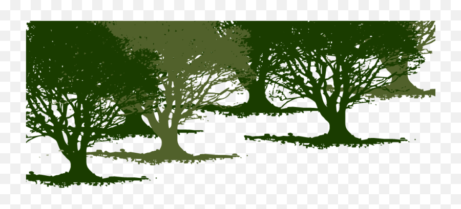 Olive Tree Background - Illustration Full Size Png Oak,Olive Tree Png