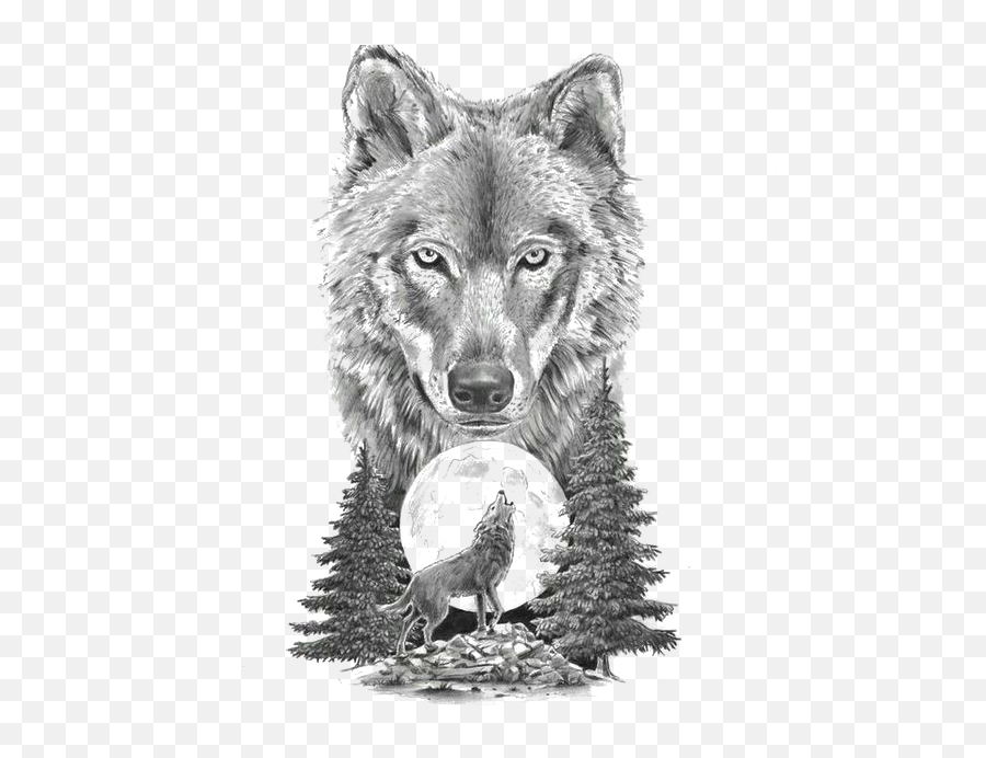 Download Gray Sketch Art Tattoo Artist Motion Wolf Hq Png - Moon Wolf Tattoo Design,Wolf Png
