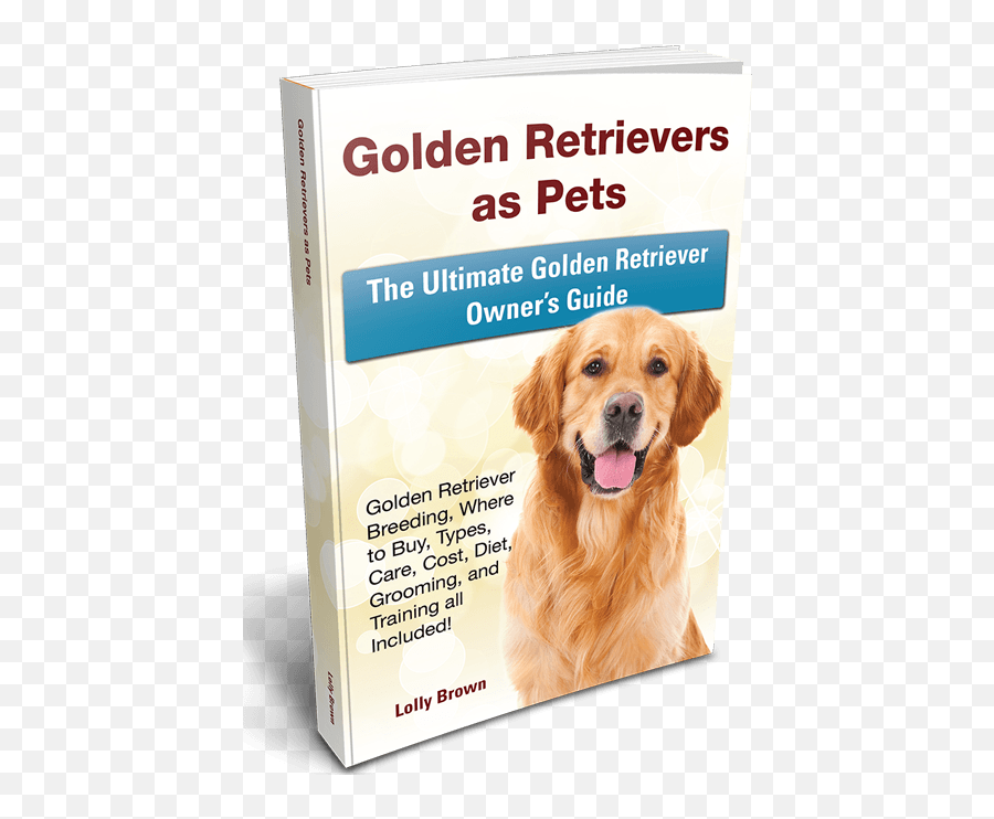 Table Of Contents Golden Retrievers - Companion Dog Png,Golden Retriever Transparent
