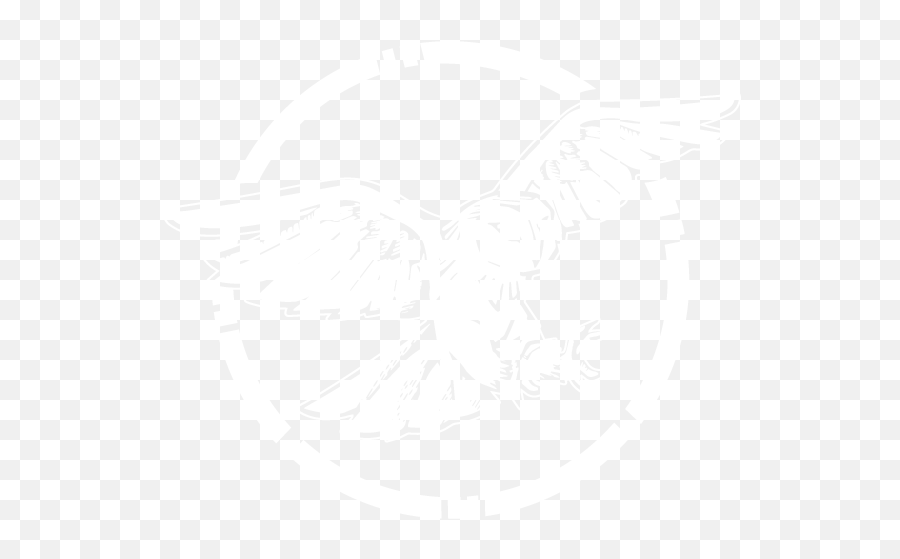 Wichita Ks Premium Web Design - Illustration Png,Owl Logo