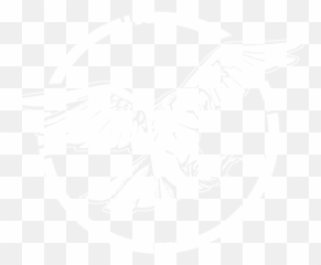 Wichita Ks Premium Web Design - Illustration Png,Owl Logo