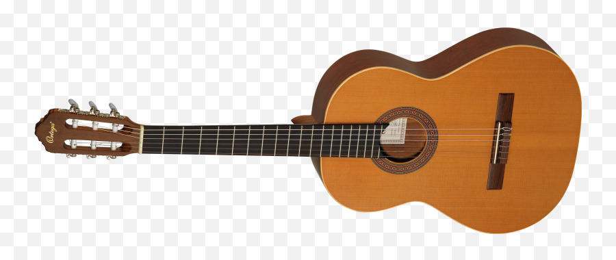 Download Taylor String Classical Instruments Guitar Guitars - Types Of Classical Guitars Png,String Png