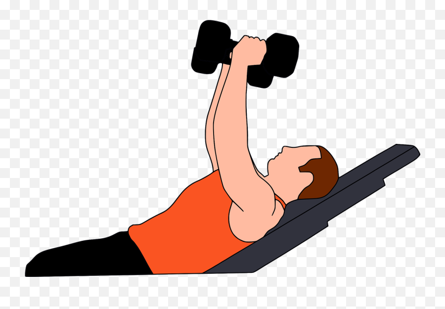 Download Gymnastics Gym Heavy Gymnasium Training - Vector Transparent Exercise Png,Workout Png