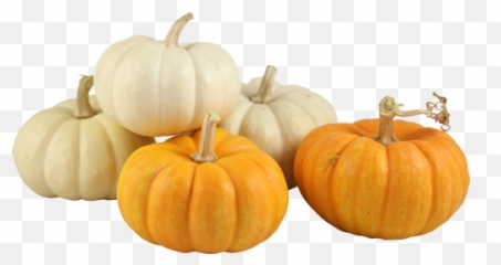 Pumpkin Clipart Royalty Free Library - png
