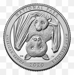 Local Ceremony To Launch Am Samoa Quarter Talanei - Back Of 2020 Quarter Png,Quarter Png