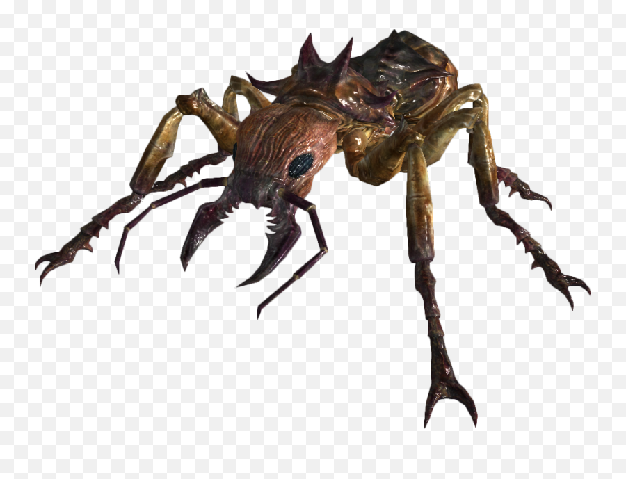 Giant Ant - Giant Ant Fallout Png,Ants Png