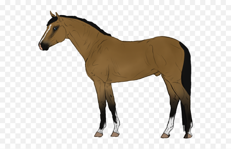 Animated Horse Transparent Background - Cartoon Horse Transparent  Background Png,Horse Transparent - free transparent png images 