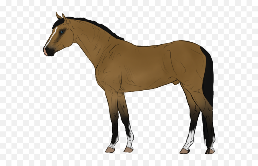 Animated Horse Transparent Background - Cartoon Horse Transparent Background Png,Horse Transparent