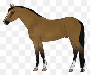 Animated Horse Transparent Background - Cartoon Horse Transparent Background Png,Horse Transparent