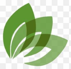 Full Size Png Image - Growth Png Logo,Growth Png