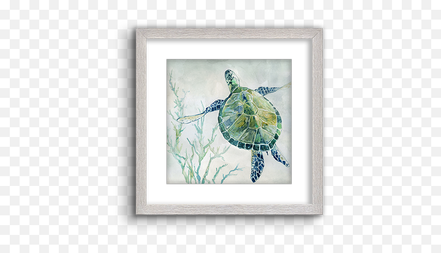 Green Watercolor Turtle 02 - Green Sea Turtle Png,Green Watercolor Png