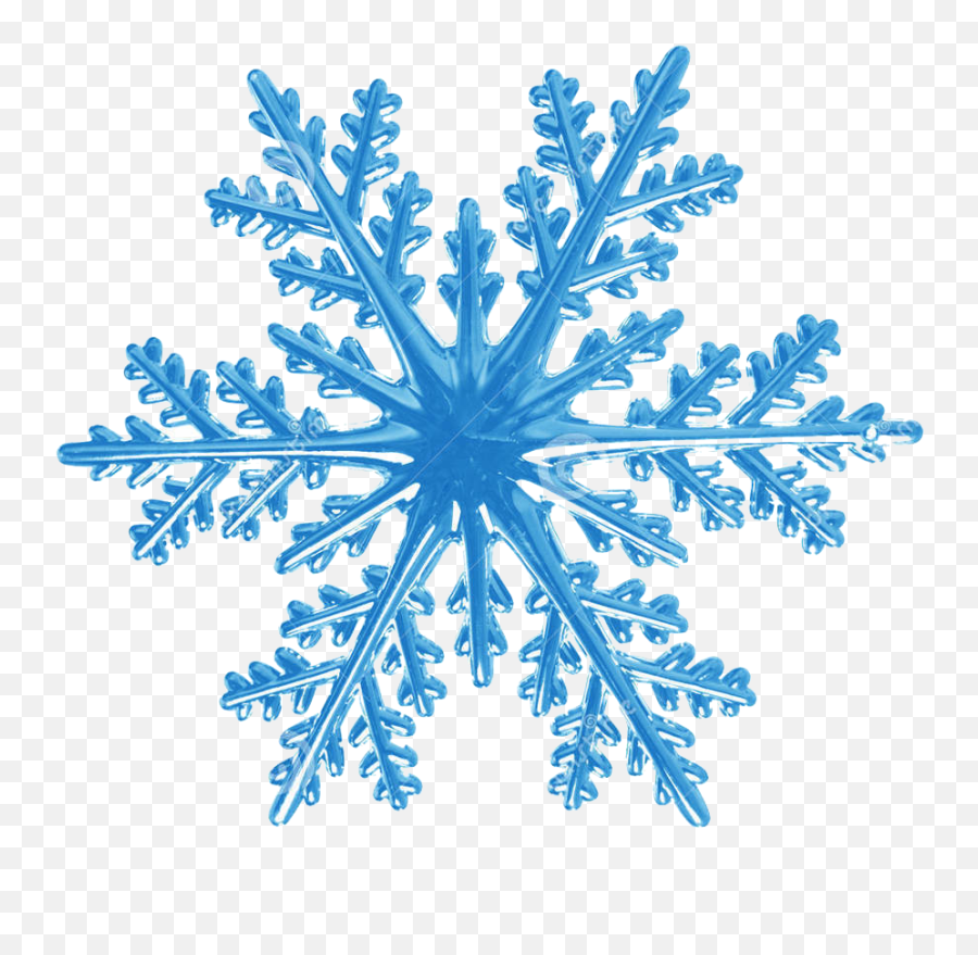Snowflakes Png Download - Rotational Symmetry In Nature,Free Snowflake Png