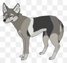 Coyotes Perfidy Wiki Fandom - Dog Yawns Png,Coyote Png