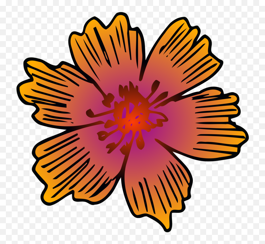 Chrysanthsplantflower Png Clipart - Royalty Free Svg Png Symmetrical Flower Line Png,Chrysanthemum Png