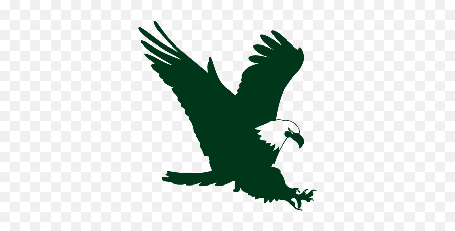 Green Eagle Logo Png Image With No