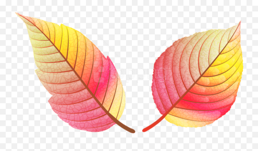 Download Free Png Colorful Fall Leaves Clipart - Colorful Leaves Clip Art,Fall Leaves Png