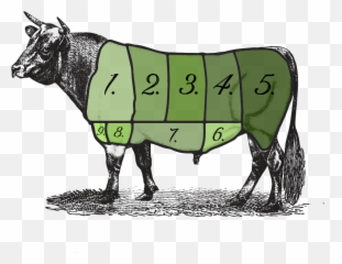 Copy Of Meat Cuts Ordering U2014 Virginia Farm Fresh Meats - Animal Figure Png,Beef Png