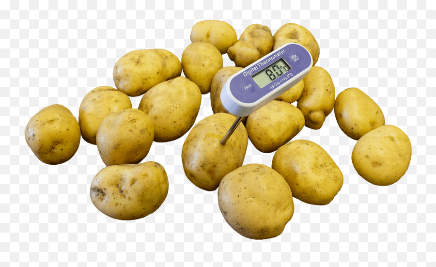 Potato Temperature Monitoring Equipment From Martin Lishman Ltd - Thermometer Png,Potato Png Transparent