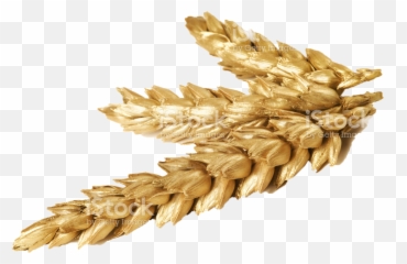 Wheat Granco Minerals - Photograph png