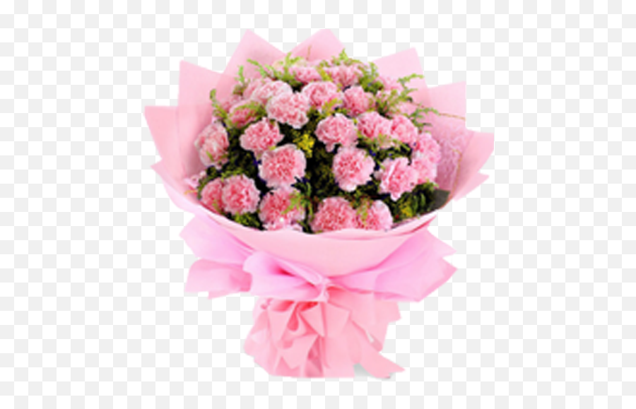 Download Hd Pink Carnation Roses Flower Bouquet Delivery - Bouquet 50 Pink Carnations Png,Carnation Png