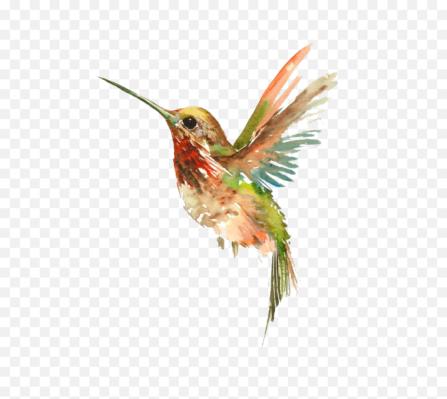Tattoo Flying Watercolor Painting Bird - Hummingbird Watercolor Tattoo Design Png,Hummingbird Png