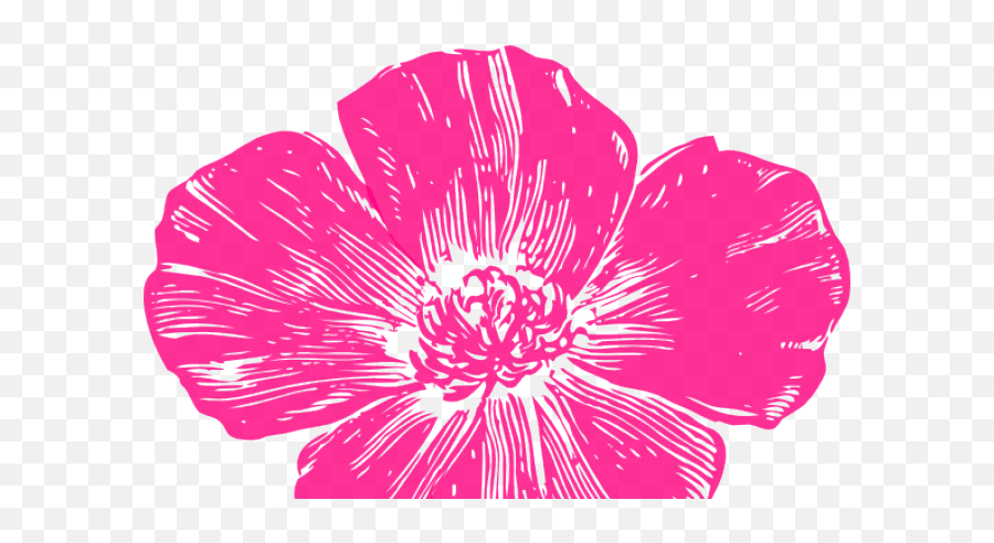 Download Petal Clipart Hot Pink Rose - California Poppy Hot Pink Flower Png,Pink Rose Petals Png