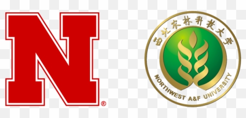 31 Program Of Study Fdst Nebraska Png