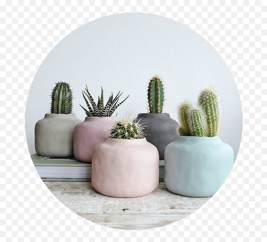 Tumblr Aesthetic Pastel Kaktus Png - Aesthetic Pots,Tumblr Cactus Png